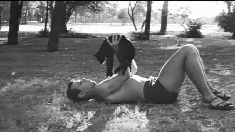 The Black Cat - Image 2